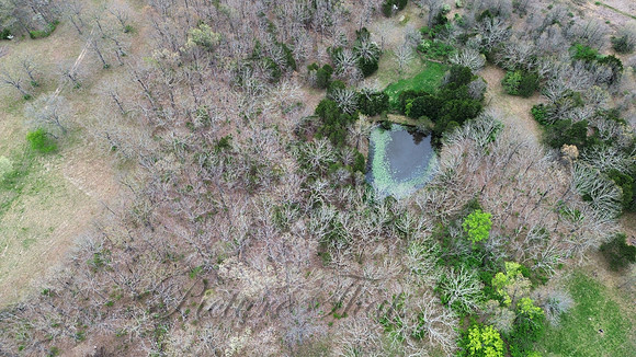 dji_fly_20250419_005506_340_1745009062163_photo_optimized