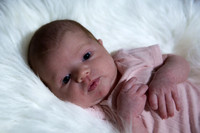 RheyaNB_07194167