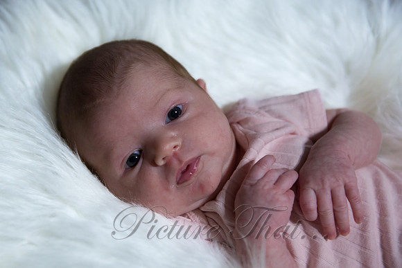 RheyaNB_07194167