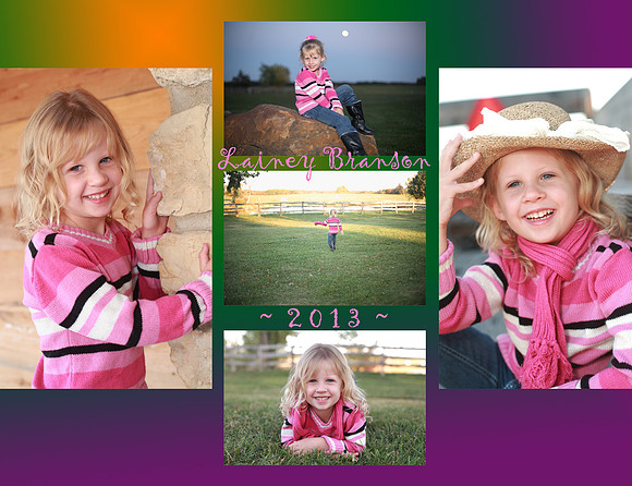 Collage_2013