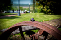 0007 IMG_0048