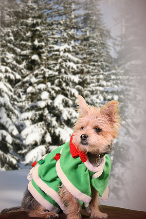 Rylee 112413_07b_c