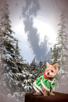 Rylee 112413_07a-C