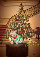 Rylee 112413_05a