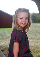 DMAJF_2013_028