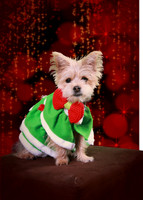 Rylee 112413_10a