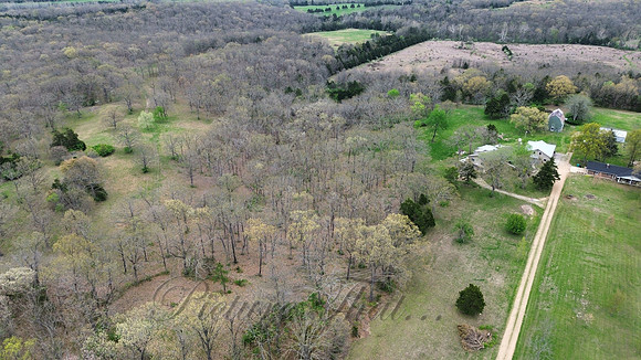 dji_fly_20250419_005818_351_1745009068084_photo_optimized