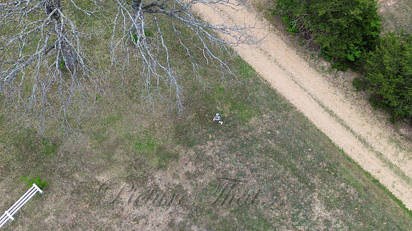 dji_fly_20250419_010018_357_1745009071292_photo_optimized