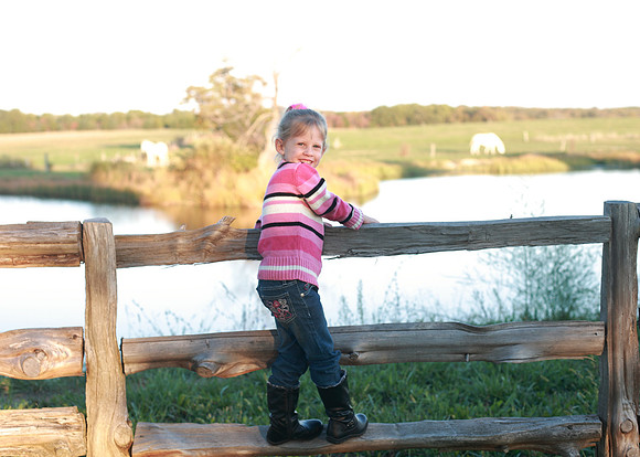 LB_2013__065