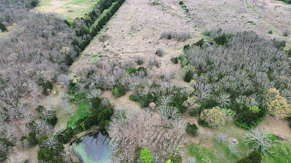 dji_fly_20250419_005520_341_1745009062695_photo_optimized