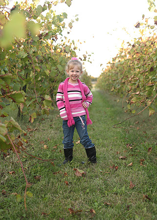 LB_2013__072