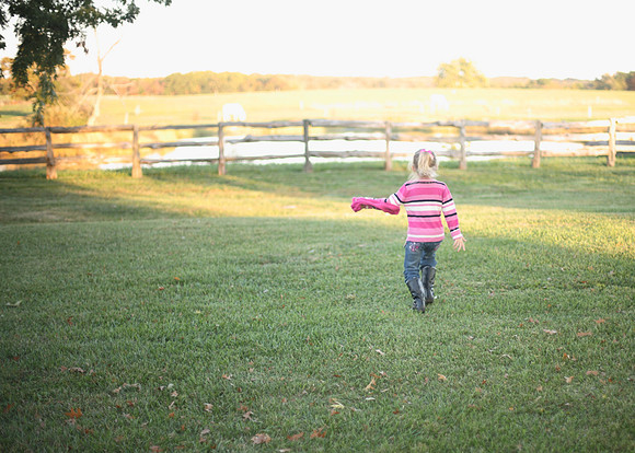 LB_2013__060