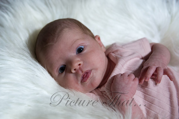 RheyaNB_07194161